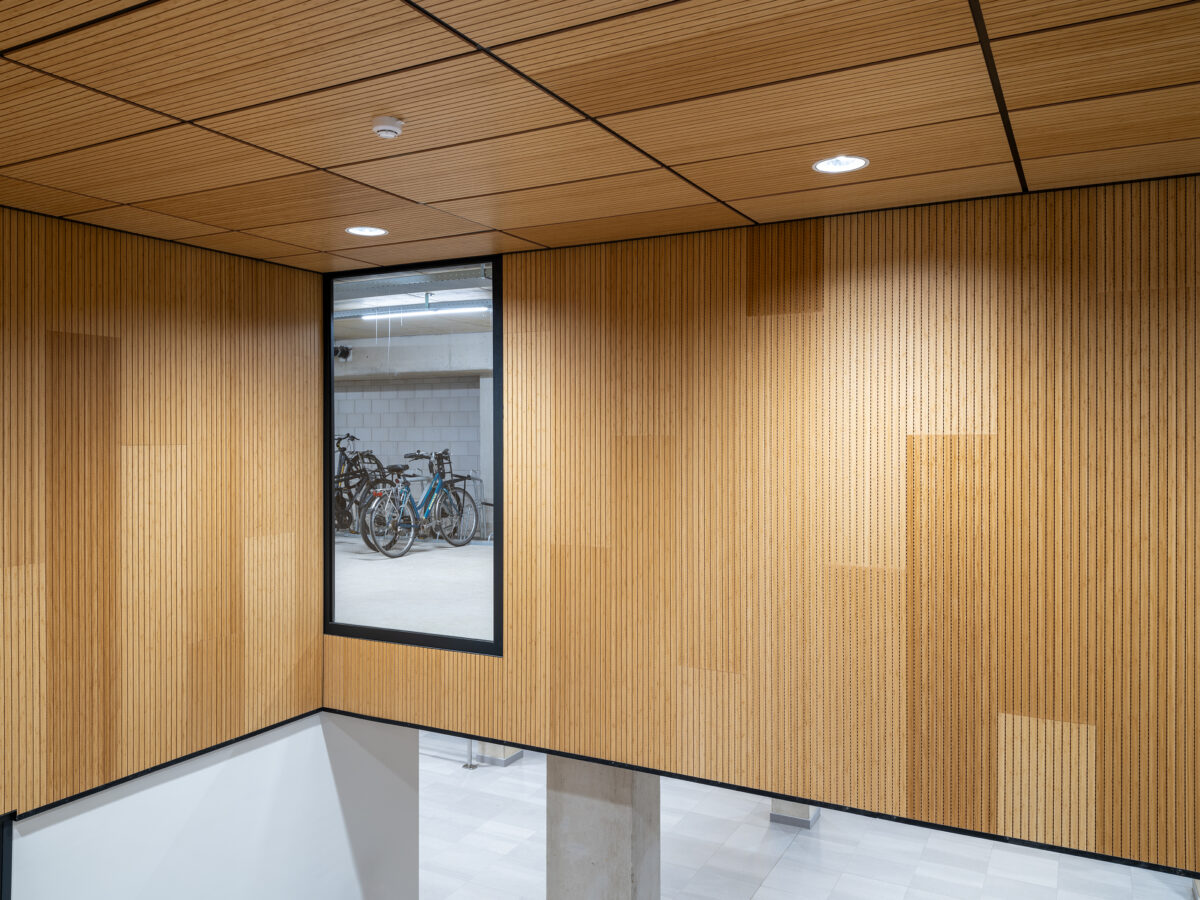 AMST view 12