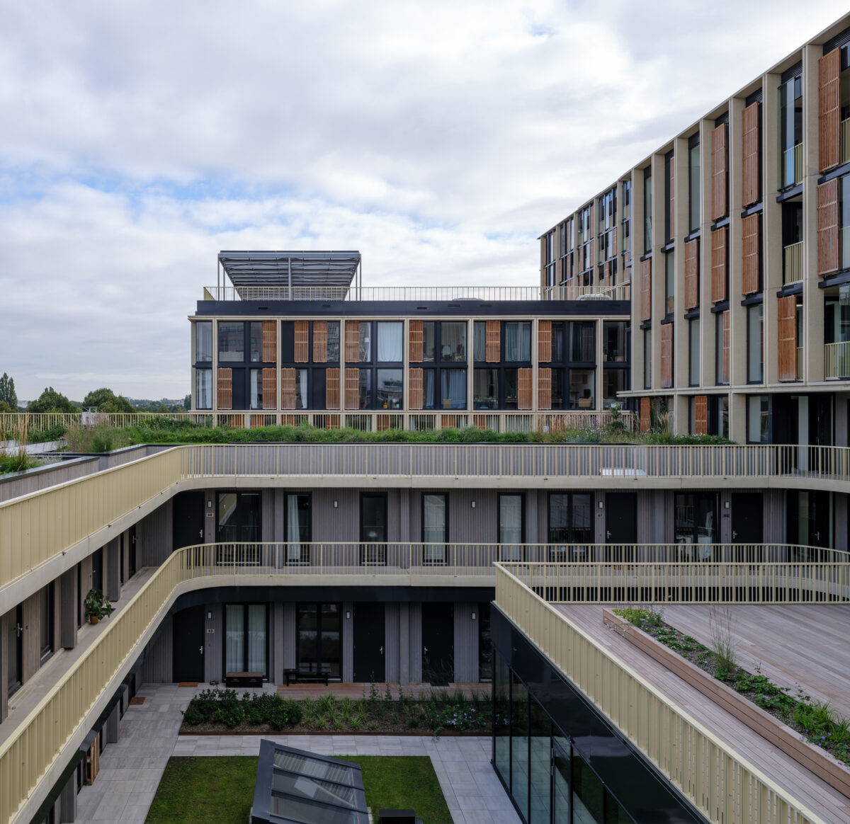 AMST view 6
